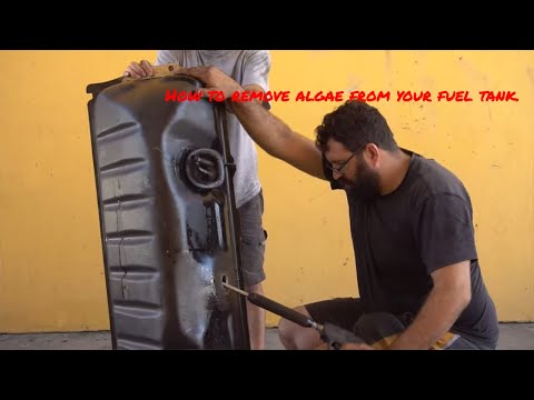 video-linktoworks-How to remove diesel algae from your fuel tank.