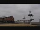 CN Freight Train at Railroad Crossings