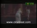 Search Video