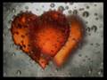♥LOVE♥DAVE♥SALMONI♥