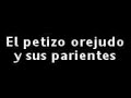 VIDEO MAKITO DJ VIDEO MAKITO DJ