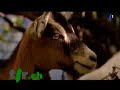 Passe-moi les jumelles: le Val Bregaglia