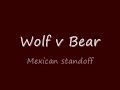 wolf v bear