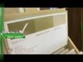 videos de The Green Bean - Wool Carpet