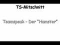 Teamspeak-Hamsta-zer