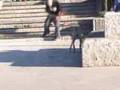pt9 - Martin Avendaño, Daniel Spencer - Vitan Ave Cerda