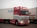 DAF105 Thermo Scandia