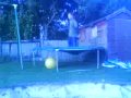 webster front flip