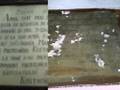 videos de Biserica Adormirea Maicii Domnului din Fantanele