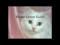 Meine Kleine Katze - Deutsches Kinderlied - German Children Song