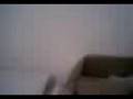 videos de banana fest 2