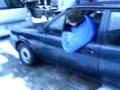 600 PS VW Polo (es reuht �nn)