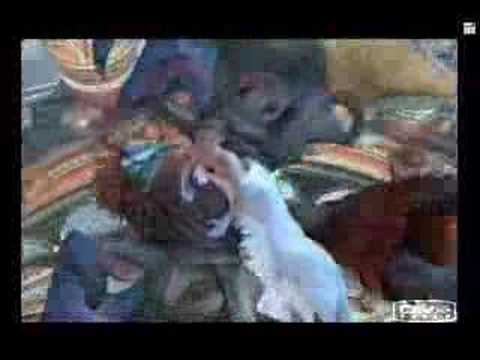 how to cure all in final fantasy x