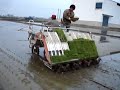 Kubota Rice Transplanter - 2 Kubota Rice Transplanter - 2