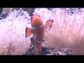 videos de Nemo en su anemona