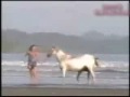 Dieren bloopers