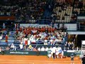 Davis Cup， czech fans