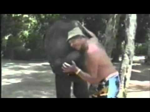 Mi amigo el elefante