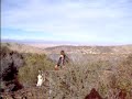 Tango Trail Ride