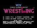 Wcw world championship wrestling nes gameplay Video