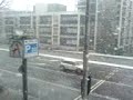 Its Summer in Amsterdam