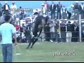 Jaripeos.com.mx en San Rafael Coapa, Mich.