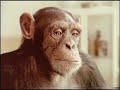 Un bon anunci amb, també, una bona canció.Un buen anuncio con, también, una buena canción.Traducció del tros de cançó.Si te sientes triste y anieblado y necesitas una mano si las cosas, las cosas no te van bienCierra los ojos y piensa en mí que rápido yo estaré aquí como un rayo de luz dentro tu oscuridad. Di bajo mi nombre y dónde quiera que esté vendré enseguida a tu lado. Primavera, verano u otoño todo el que debes hacer se decirlo y vendré de golpe, sabes cierto que tienes un amigo....