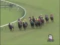 スリープレスナイト  第42回 スプリンターズＳ(ＧＩ)