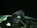 videos de oracles