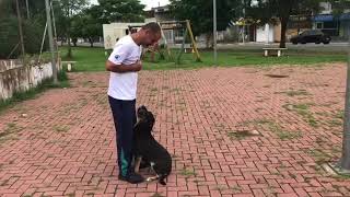Boni Adestra - Aluna Tina Parte 1