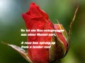 Es ist ein Ros entsprungen by Michael Praetorius, sung by a one-man multitrack choir