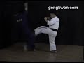 (Korean jiu jitsu grappling) gongkwon sparring technique 2. (Korean jiu jitsu grappling) gongkwon sparring technique 2.