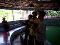 Thonburi Snake Farm 2