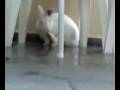 videos de 01-12-08_1702_converted.avi
