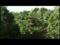 2007金馬影展殯之森(The Mourning Forest)預告