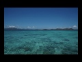 falling asleep sounds, nature sounds, relaxin music, yoga music compilation & zen music, nature sounds