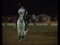 Carrossel  Junior Pinhal Novo