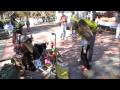 Sqirrel Wars part ll