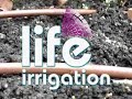 Irrigation Irrigation