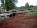 100_3570.MOV