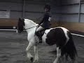 Dressage with Saddle Club soundtrack Dressage with Saddle Club soundtrack