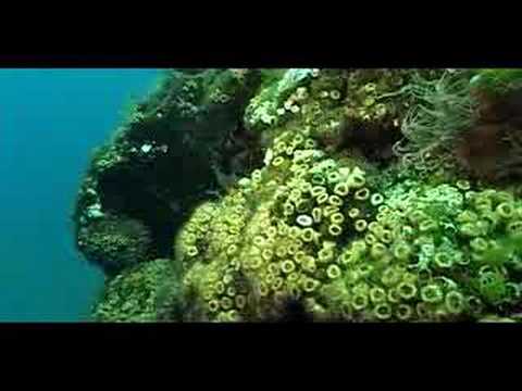 Mediterr�neo Central y Occidental