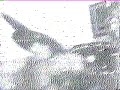 jimi hendrix live sweden gröna lund 1970 rare