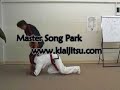 kiai jitsu fighting: 5 branches dvd demo