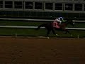 Sitting in the stands close to the track is great because you can make your way even closer. Nigel was able to be literally against the rail of the Derby to watch Barbaro blow everyone away.