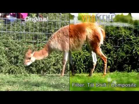 チルトシフト