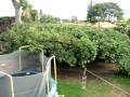 videos de MVI 0146