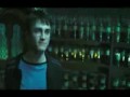 Harry Potter El bananero 8