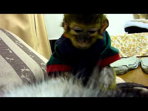 Serviço de limpeza profissional