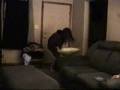 videos de Cheyenne vs Skylar 1.wmv